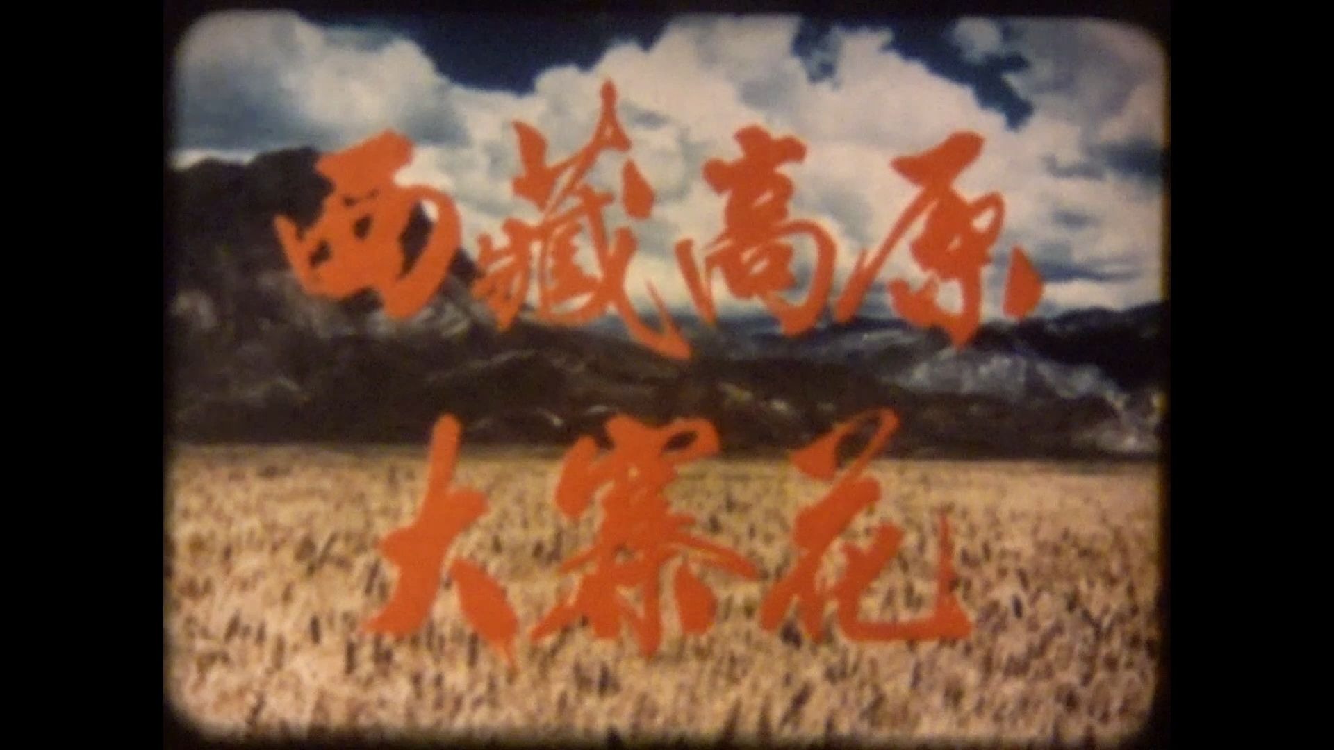 《西藏高原大寨花》1976