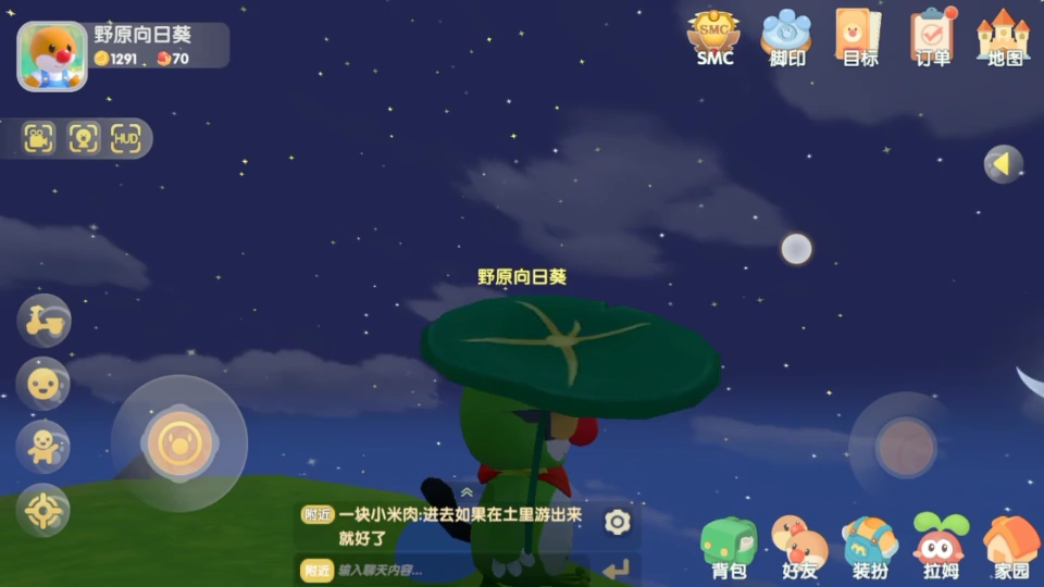 摩尔庄园的星空