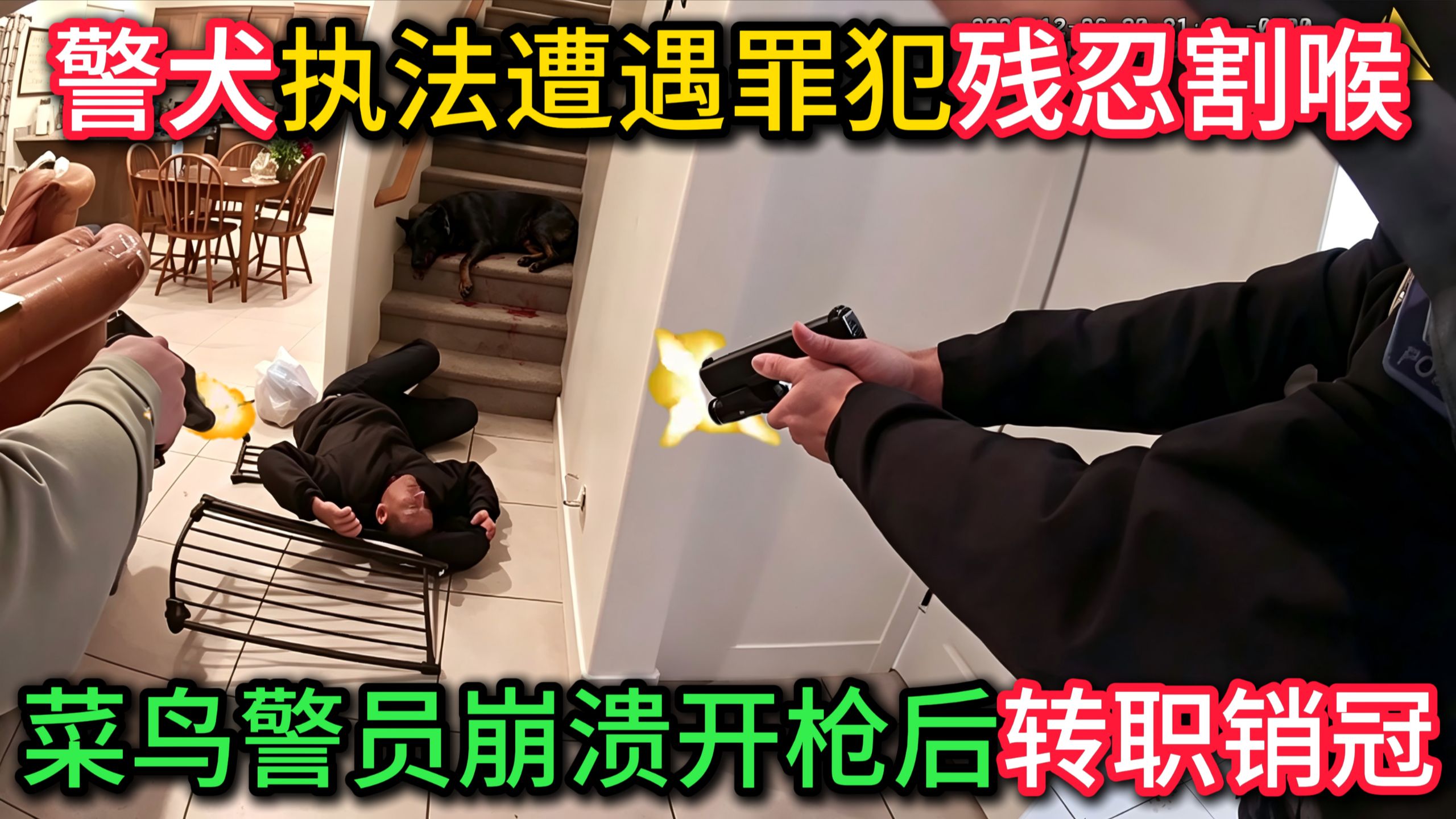 警犬执法惨遭嫌犯割喉，菜鸟警员击毙嫌犯后转职销冠！