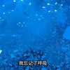 【凯龙针织】我的最新作品，快来一睹为快