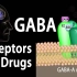 （中字）动画 | 神经学科基础 | GABA受体与GABA药物
