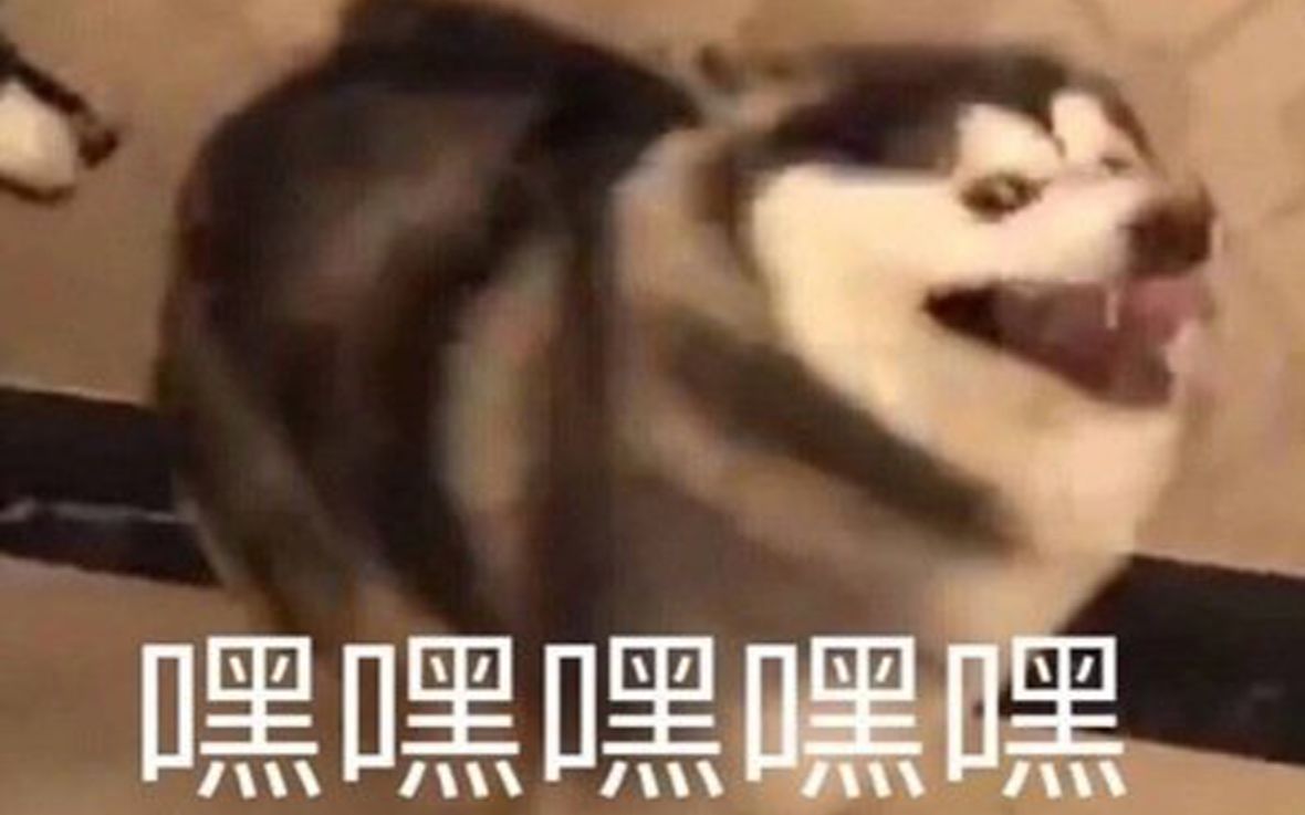 网络上那些令人窒息的沙雕图【今日份笑点】