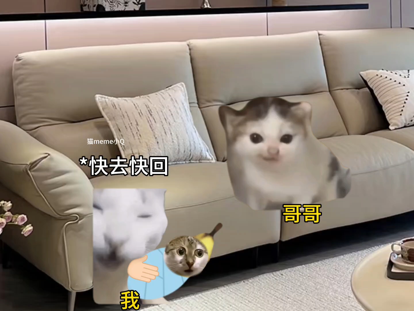 德华的命也是命呀