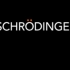 Schrödinger - Ligand Docking