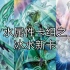 【游戏王-新卡】水属性卡组——冰水系列