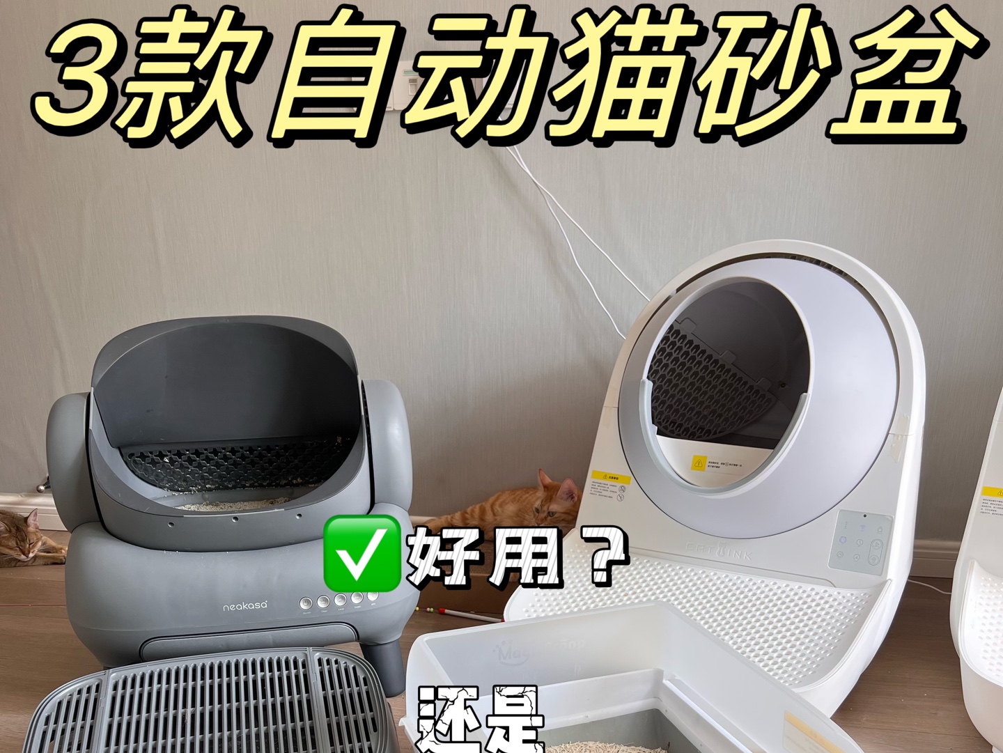 7猫家庭 | 测试3款自动猫砂盆 | 使用测评来啦