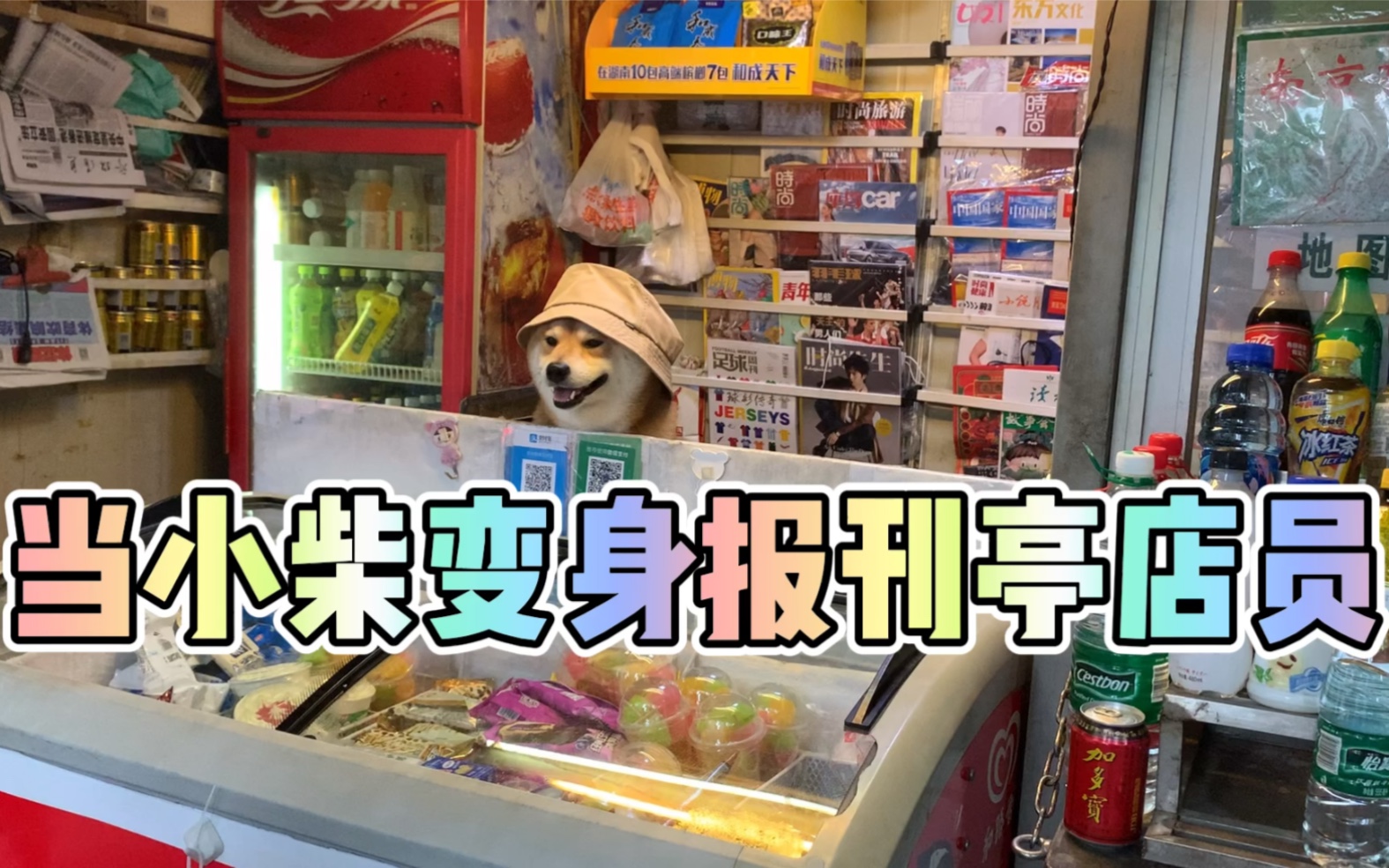 当小柴变身报刊亭店员哔哩哔哩 (゜゜)つロ 干杯~bilibili