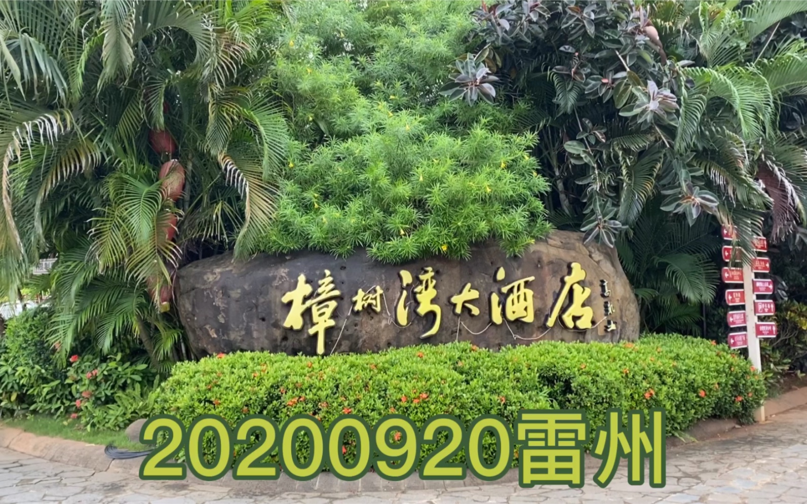 活动作品如果你来雷州古城一定要体验一晚樟树湾大酒店