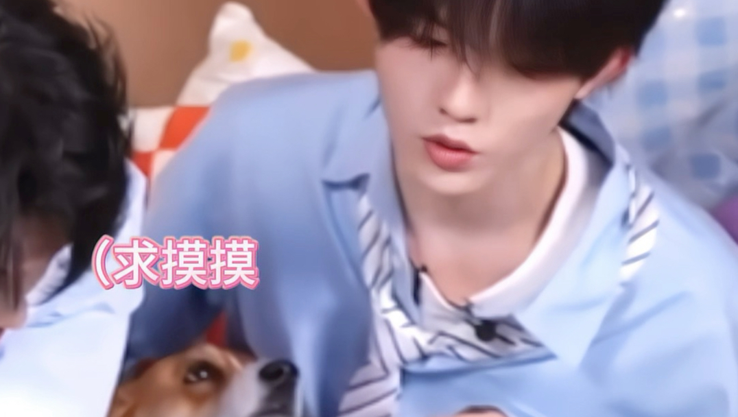 在饼世界里 连小狗的话也不会掉地上！