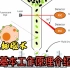 流式细胞术基本工作原理介绍—（中英双字幕）