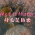 什么是历史？