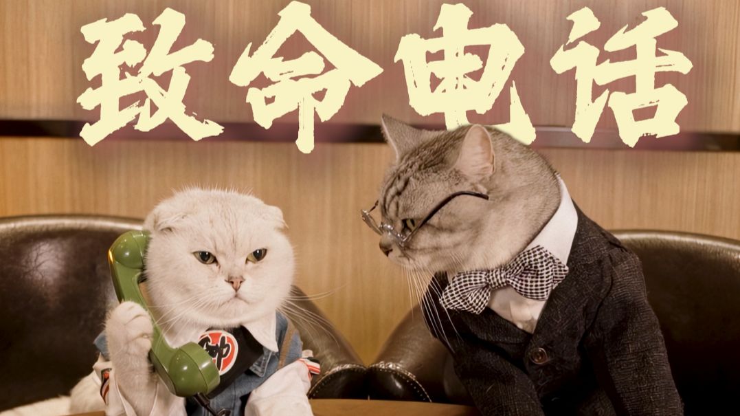 《接下来你就对我不客气了》