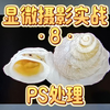 2月21日 显微摄影实战8PS处理
