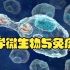 【医学微生物与免疫学】-汕头大学-李康生-国家级精品课-全56课