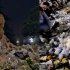 破防了！西南大学袁隆平院士雕像被鲜花环绕 花海上还有一颗排球