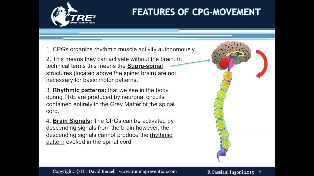Central Pattern Generators in the TRE Process