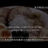 【FoodBox翻译】日料达人—鸡肉叉烧和酱油拉面