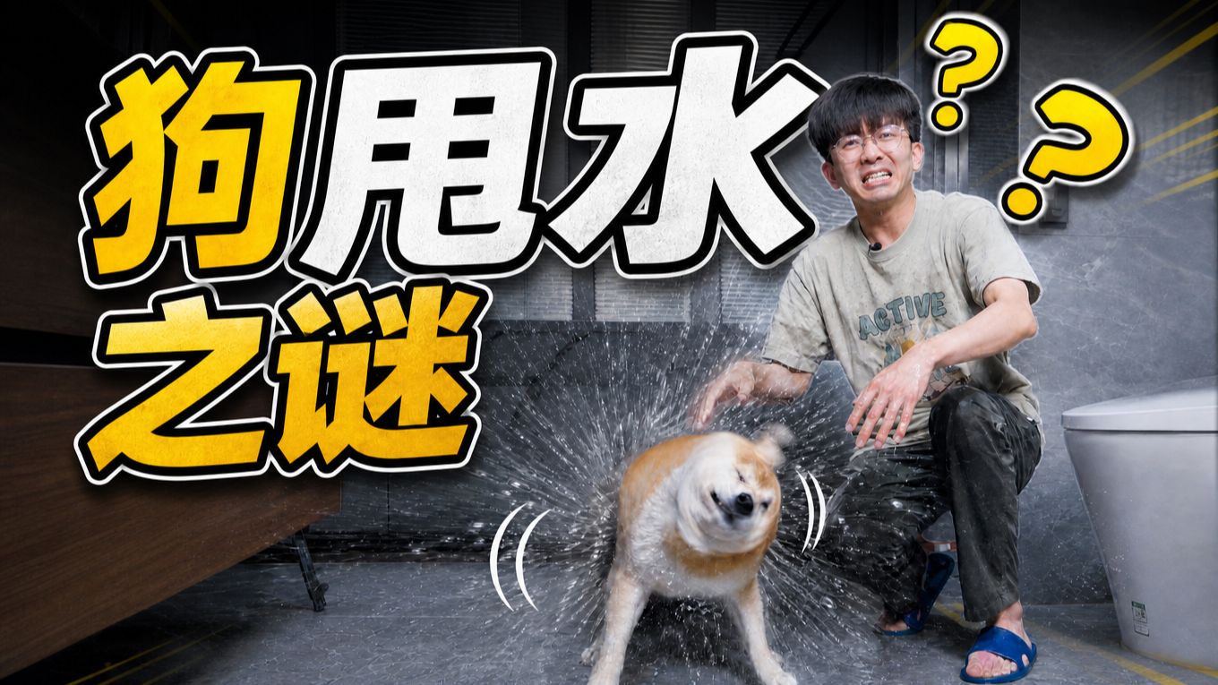 人不如狗？为啥狗子甩干比人厉害？