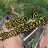 【裸眼实景3D】大脑山原始森林公园游览VR视频 左右格式 平行眼观看