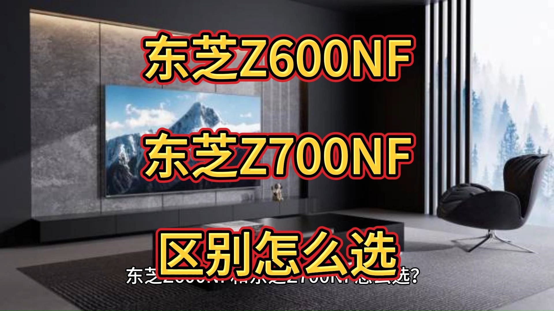 东芝Z600NF和Z700NF哪个好,东芝Z600NF和Z700NF区别比较，对比怎么选？