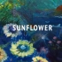 【Yakuri】Sunflower 【Orangestar】国人男声翻唱