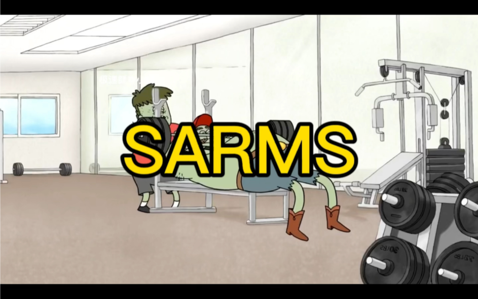 sarms是什么