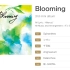 【H-el-ical//】3rd mini album 「Blooming」