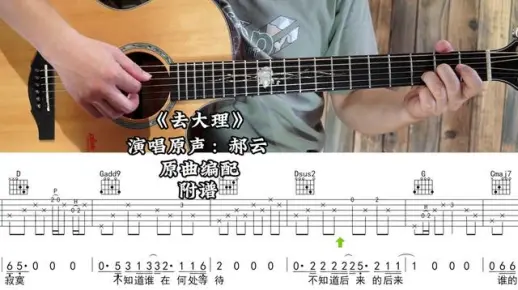 【第203集】去大理 演唱原声：郝云 吉他弹唱示范，动态吉他谱