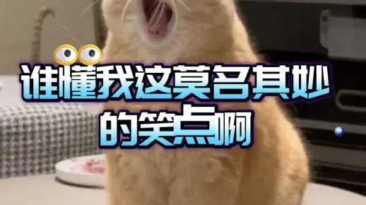 奇奇怪怪但莫名其妙好笑的读音...