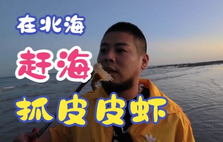 北海赶海抓皮皮虾【否希的vlog】