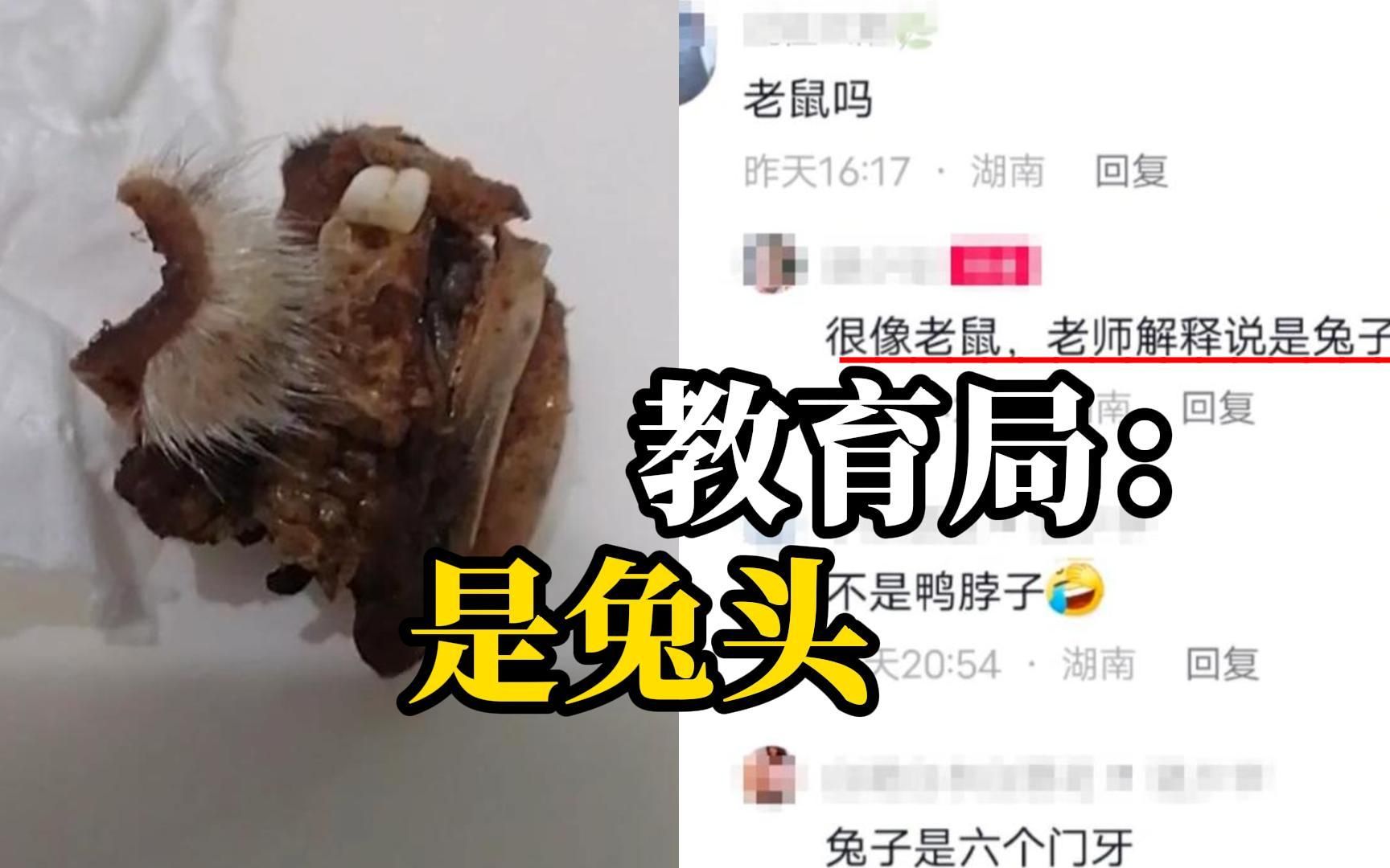 小学食堂疑吃出白毛鼠头,教育局:经核查是兔头,鹤城区:已成立联合调查组介入哔哩哔哩bilibili