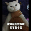 【解读事件】我又挖到宝了，张津瑜小姐姐一些不太常见的照片