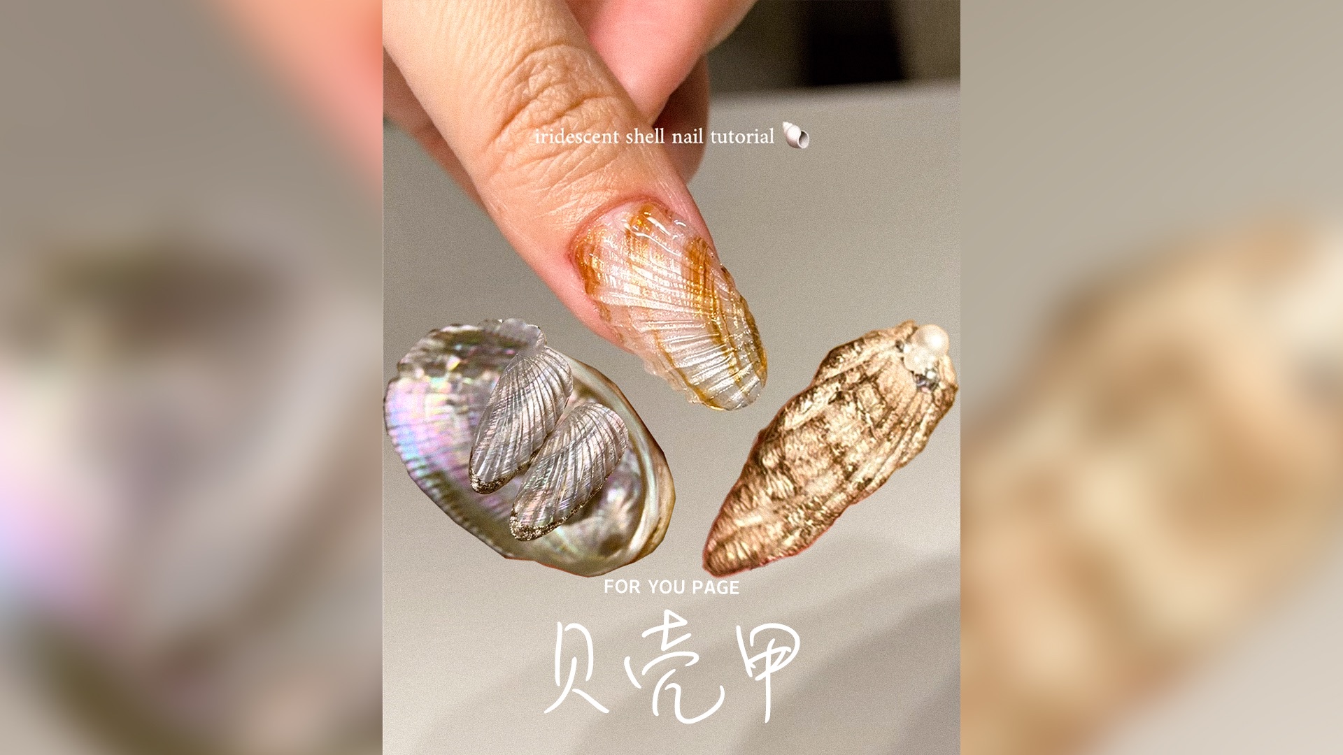 好适合夏天的「贝壳甲」🌞
