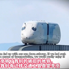 国外网友看重庆最萌无人轻轨猪儿虫，还没断奶就出来工作了