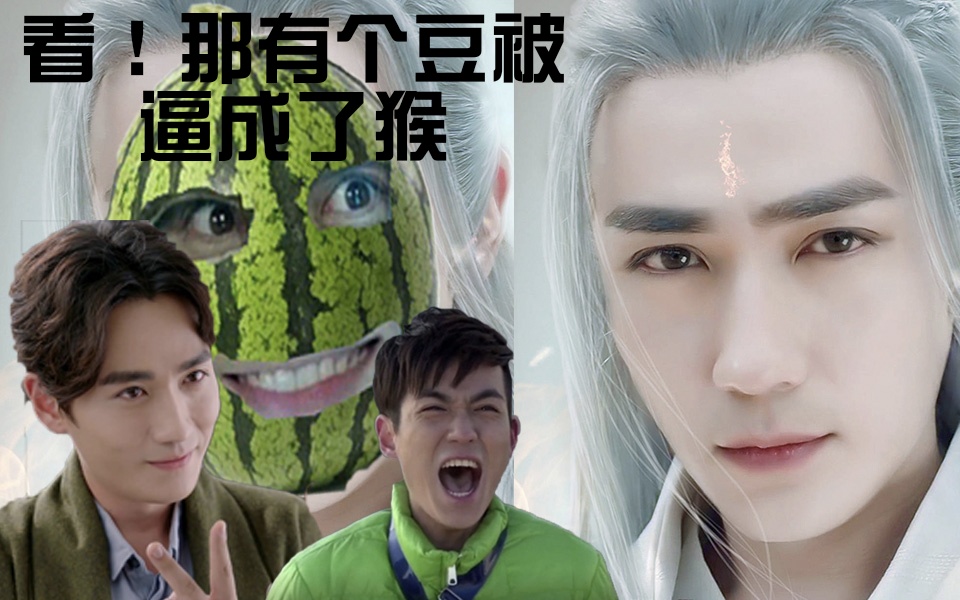 朱一龙冯豆子表情包分享展示