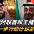 沙特阿联酋双王储联手，巩固阿盟团结后，下一步行动计划是谁？