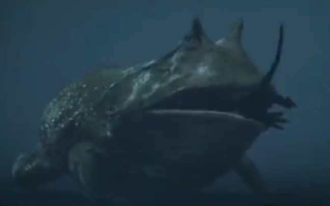 恐龙革命：盾状魔蟾。身长40厘米。体重10公斤。两头玛君龙幼崽是它们凶悍的母亲的迷你版本灵感总会刺激新发现的盾状魔蟾也叫做魔鬼蛙是地球上有史以来体型最大的蛙类。