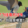 燕子每年都要飞往南方过冬，你知道这个“南方”在哪吗