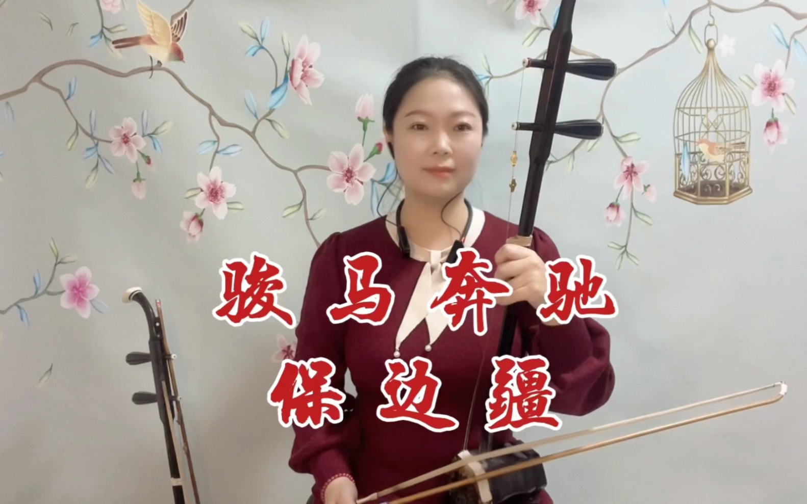 《骏马奔驰保边疆》二胡演奏