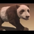 【大熊猫进化史】【科普中国】萌-神-修-成-记（4集＋番外）