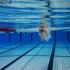 高清防水套 上海国家游泳馆水下拍摄视频