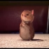 温馨短片：这么傲娇机灵的小老鼠，你见过吗？.