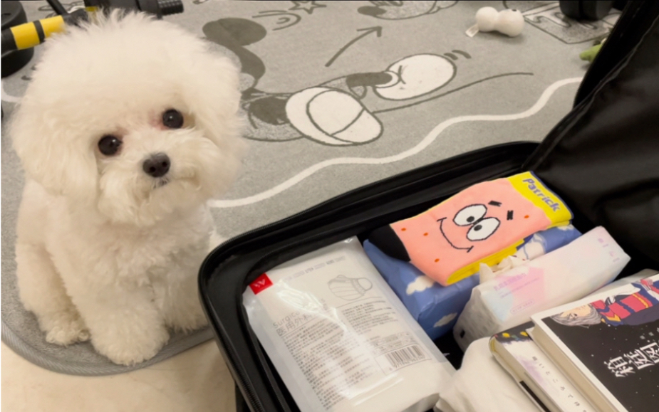 我的小臭狗 又在偷偷收拾行李箱😭😭😭