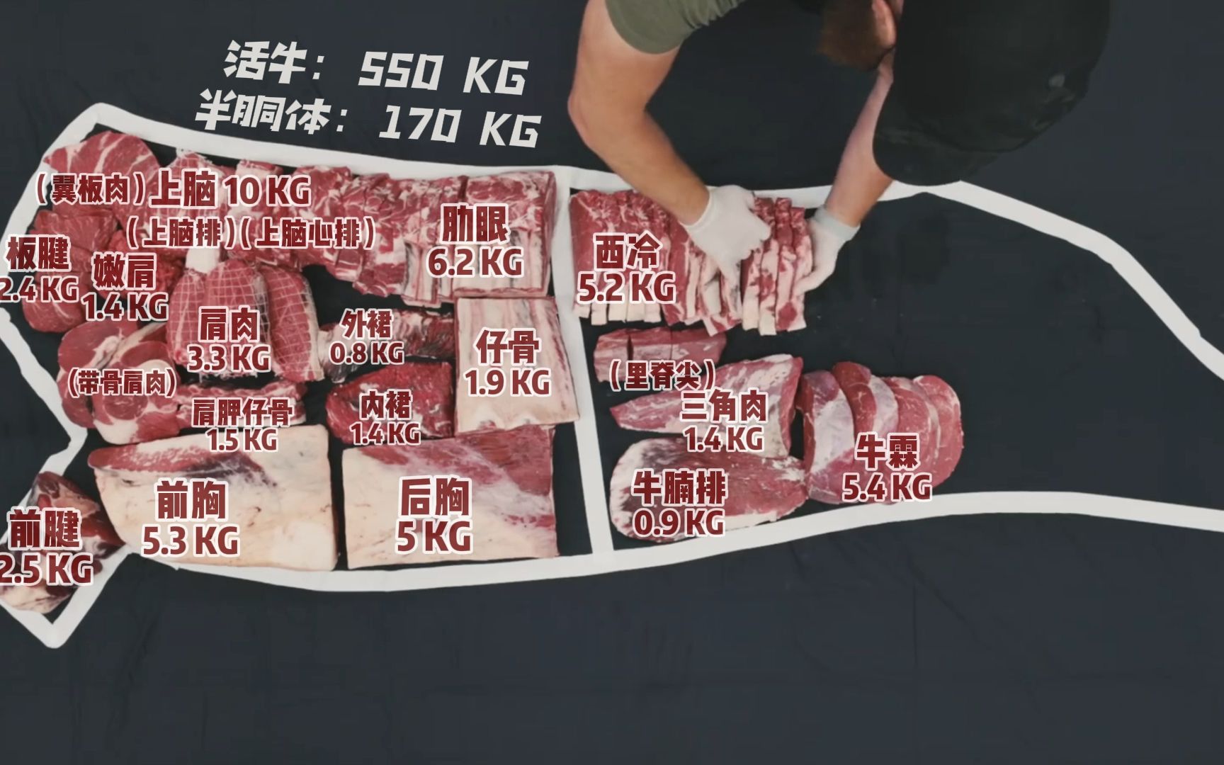 庖丁解牛之 视觉系分割：牛肉分割各部位名称参考重量 - 领取方式见视频末