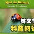 动物英文科普阅读---Ladybug（瓢虫）