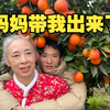 妈妈带着欣哥卖水果去啦，家乡的玫瑰血橙