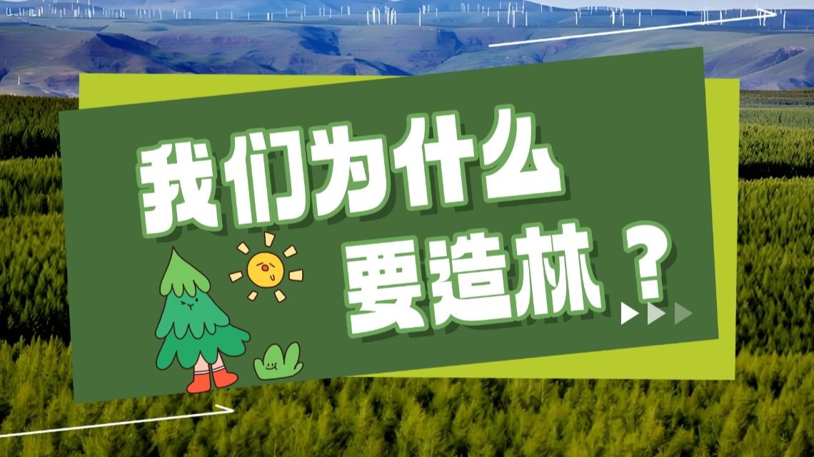 世界最大的造林工程，用45年时间造林46万平方千米…