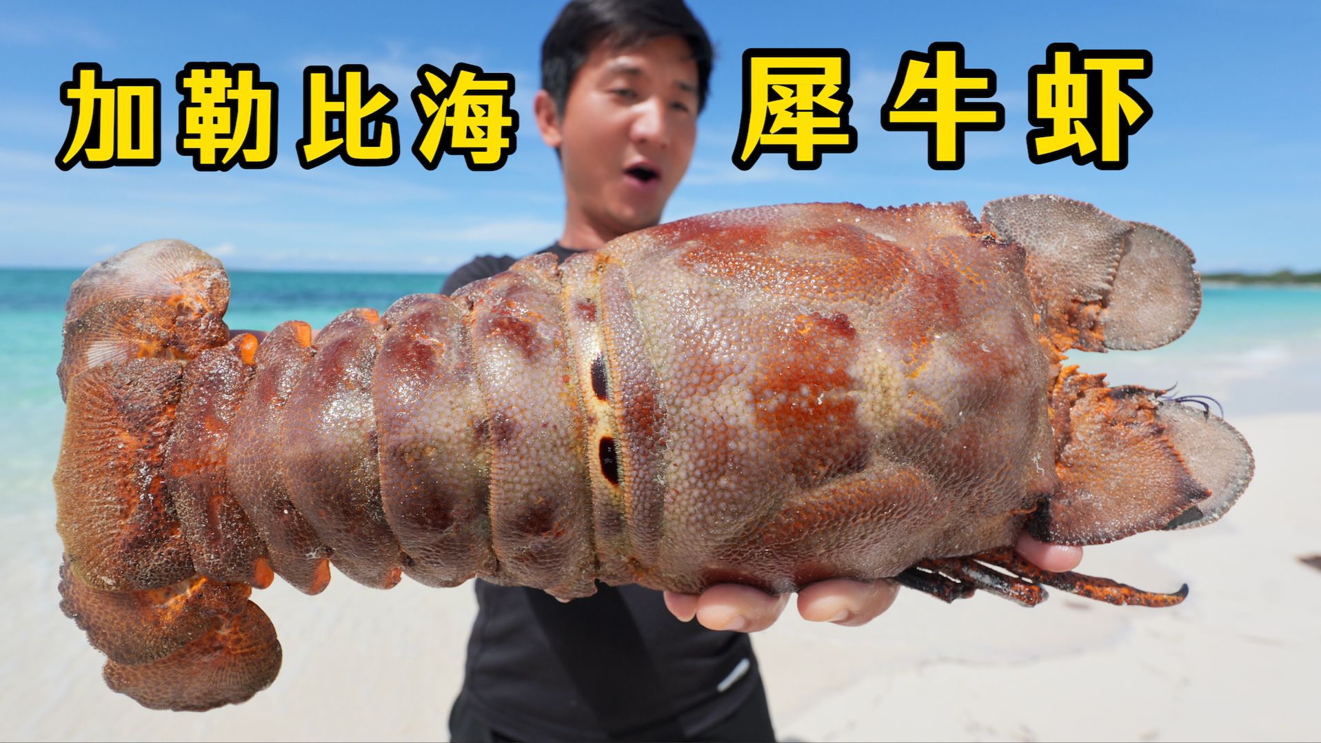 80后老登勇闯加勒比海无人岛，谁知夜里的海底都是巨型犀牛虾！
