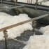 内江博威能源化工有限公司焦化废水好氧池改造项目
