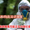 欧洲多地猫和狗禽流感爆发，禽流感病毒可能正在向我们靠近